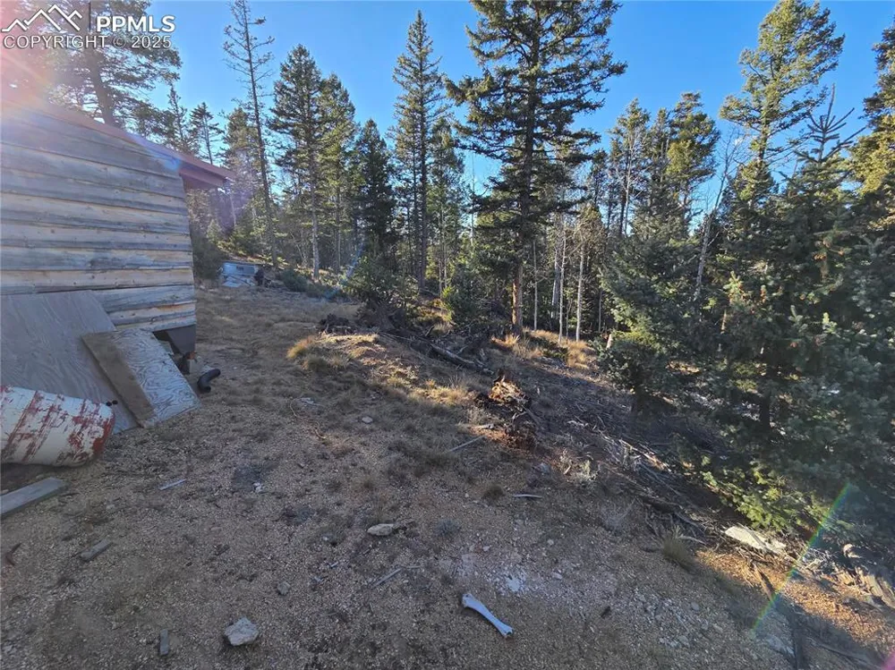 1434 Blue Mesa Drive Divide, CO 80814