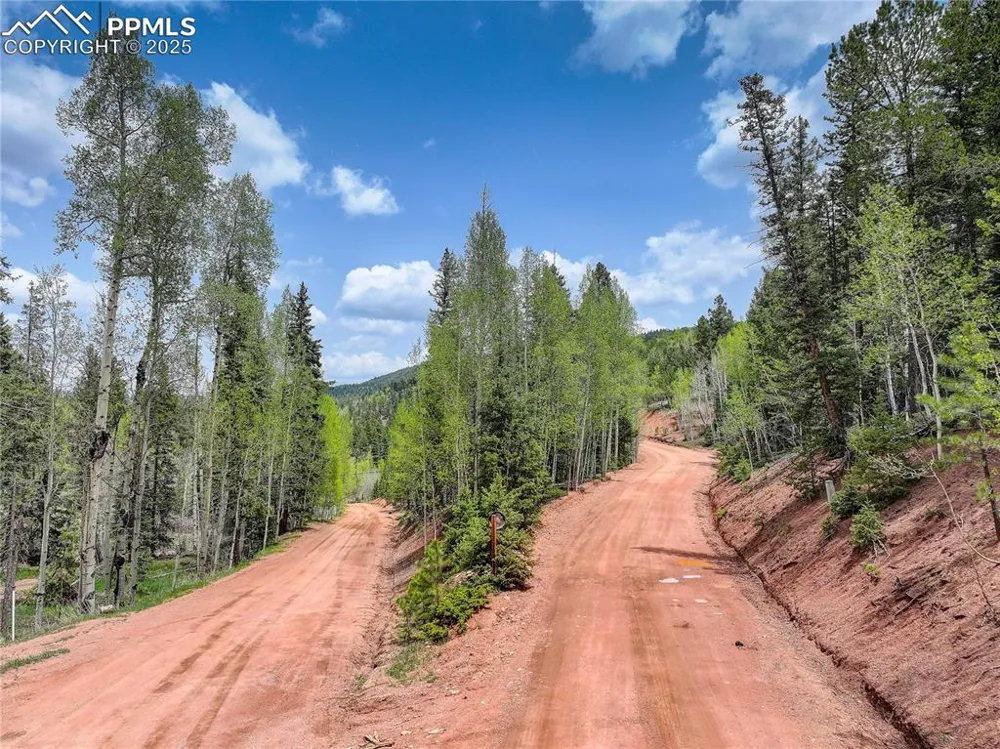416 Willow Road Divide, CO 80814