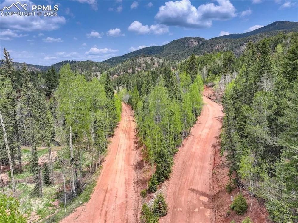 416 Willow Road Divide, CO 80814