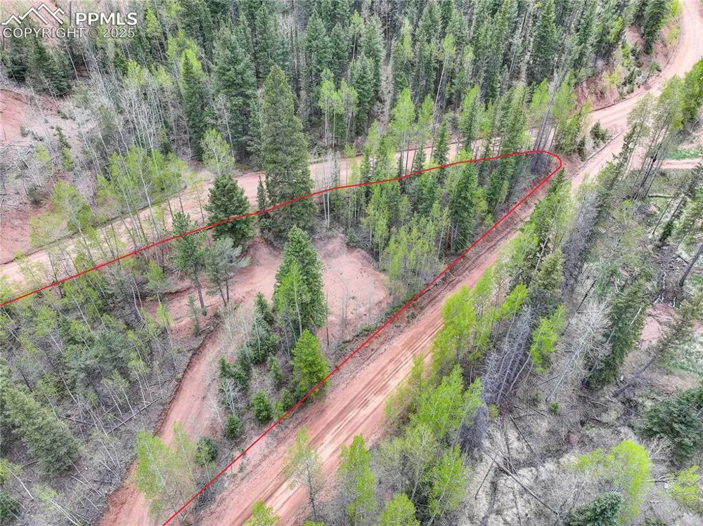 416 Willow Road Divide, CO 80814