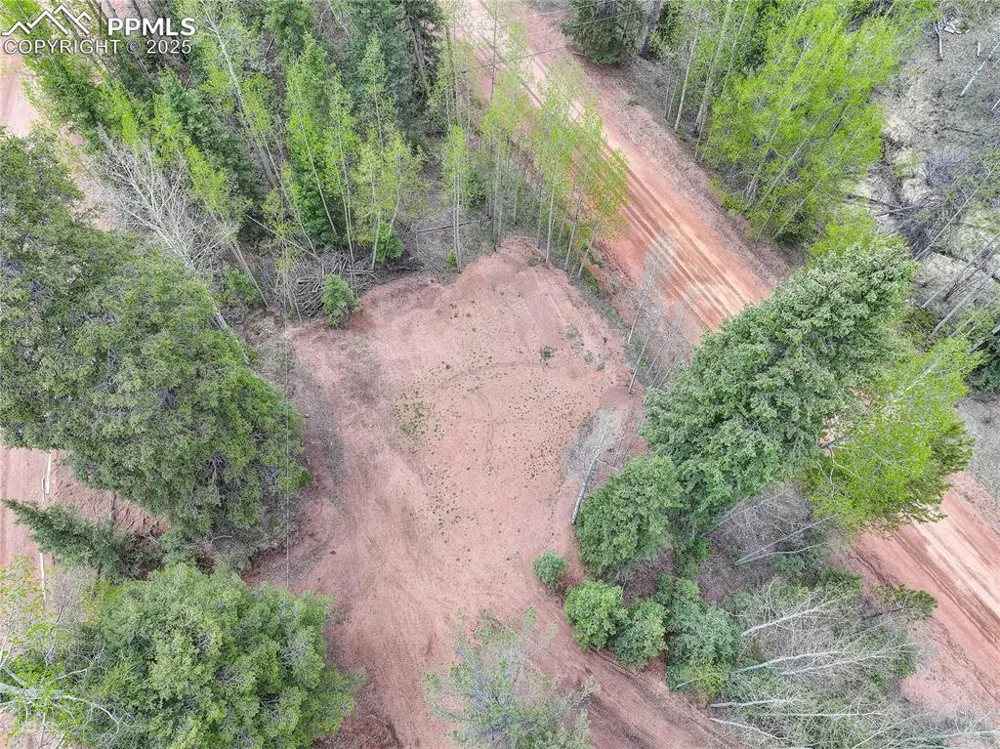 416 Willow Road Divide, CO 80814