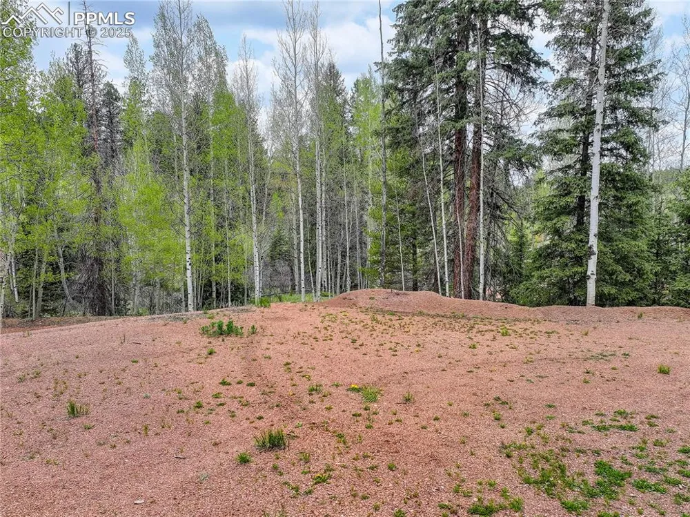 416 Willow Road Divide, CO 80814
