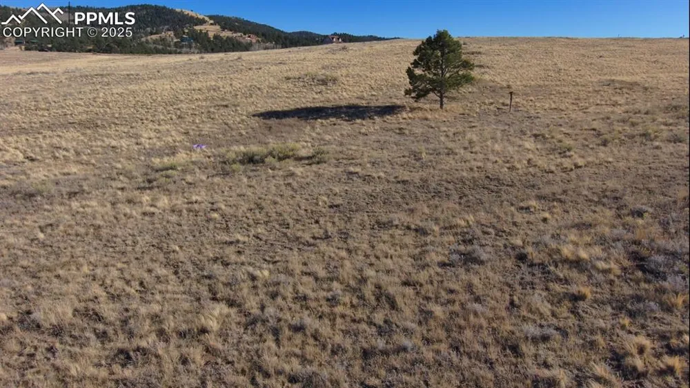 152 Wulstein Way Westcliffe, CO 81252