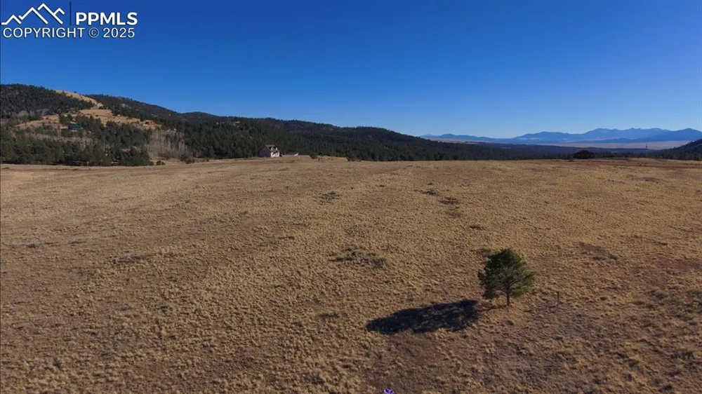 152 Wulstein Way Westcliffe, CO 81252