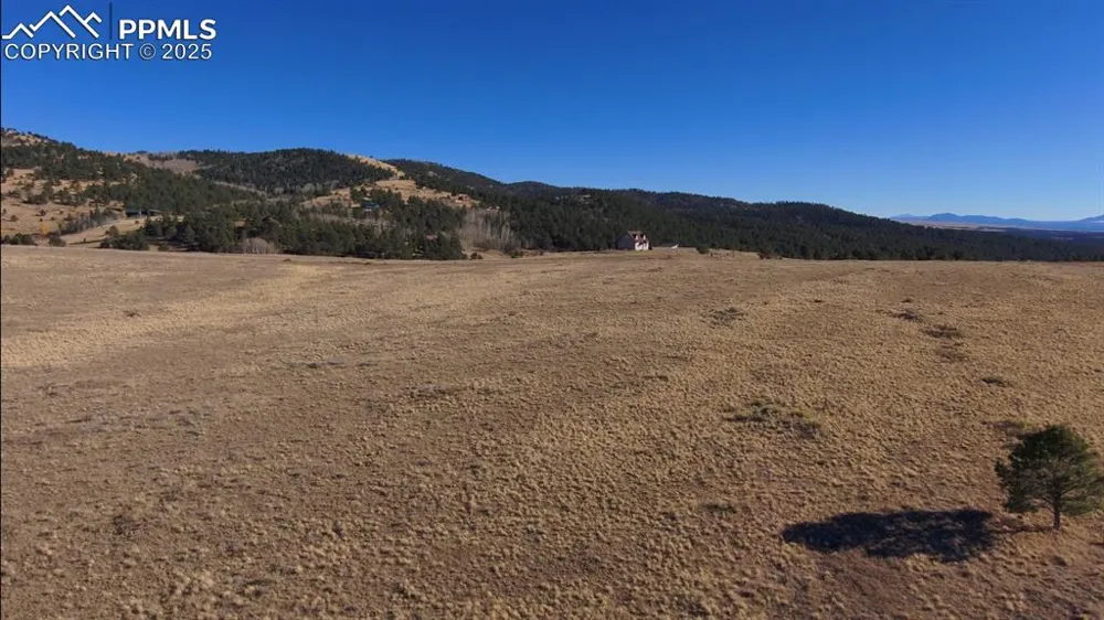 152 Wulstein Way Westcliffe, CO 81252
