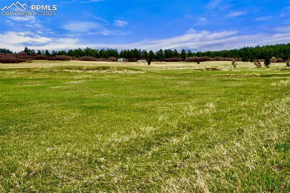 3 S Perry Park Road Larkspur, CO 80118