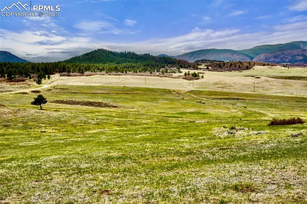 2801 Verbena Drive Larkspur, CO 80118