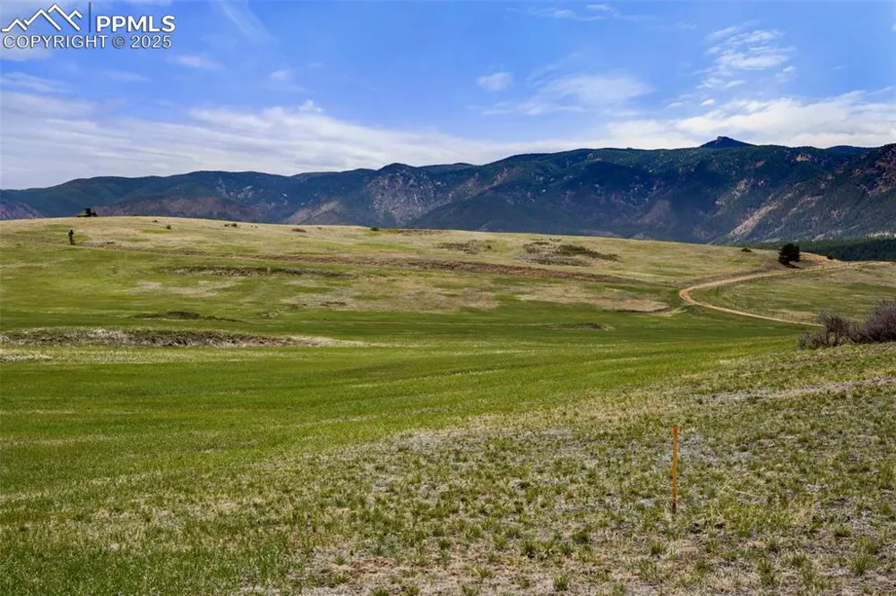 2801 Verbena Drive Larkspur, CO 80118