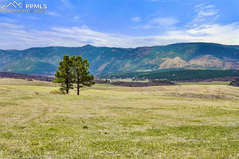 2801 Verbena Drive Larkspur, CO 80118