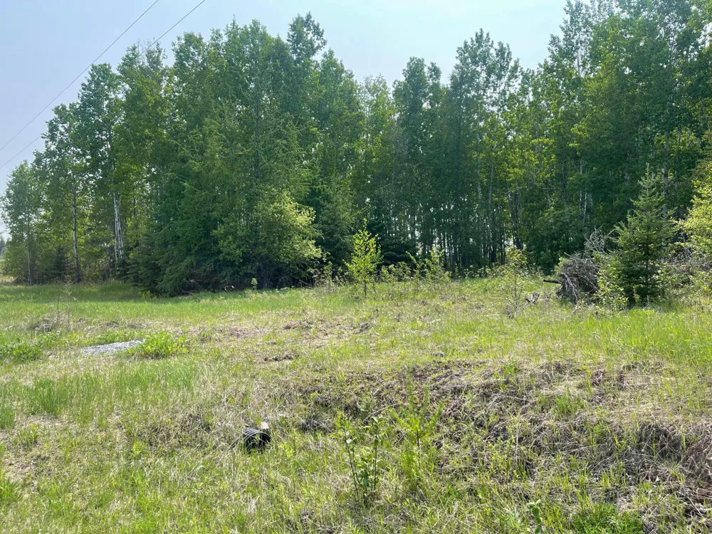 8017 Savanna Road Floodwood, MN 55736