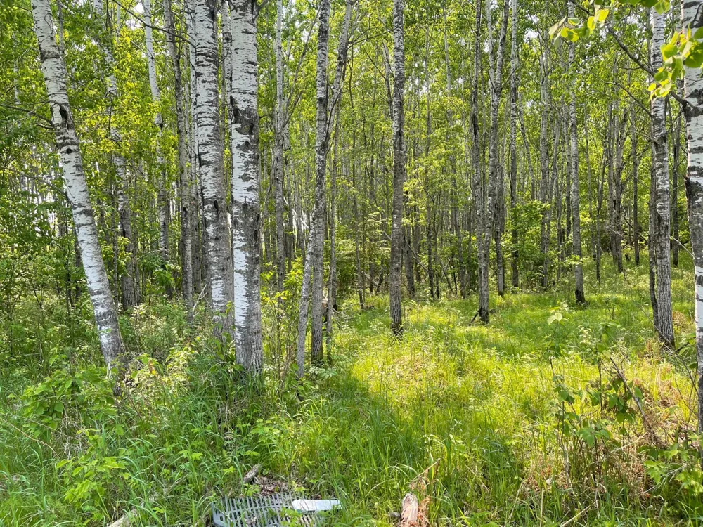 8017 Savanna Road Floodwood, MN 55736