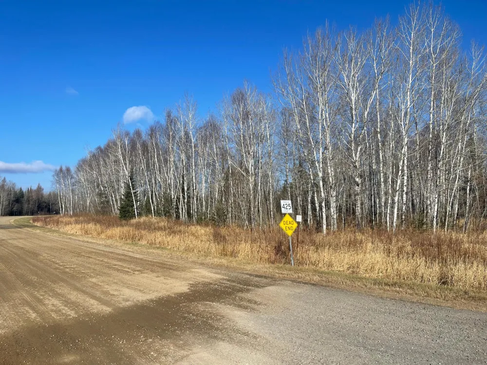 13994 County Road 425 Wawina, MN 55736
