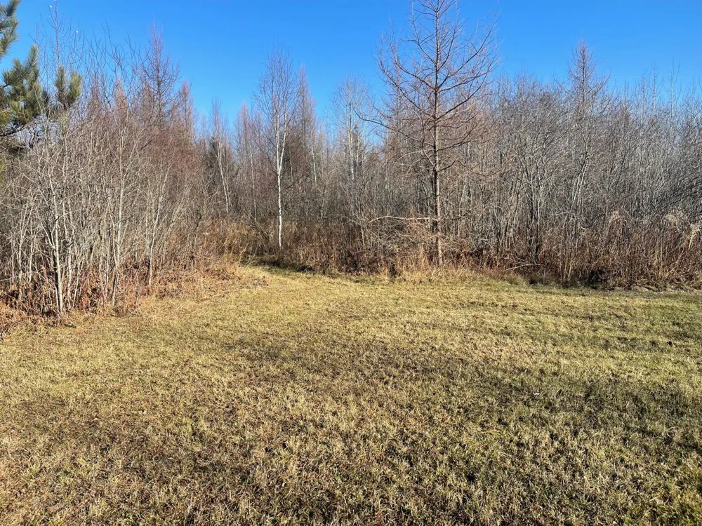 13994 County Road 425 Wawina, MN 55736