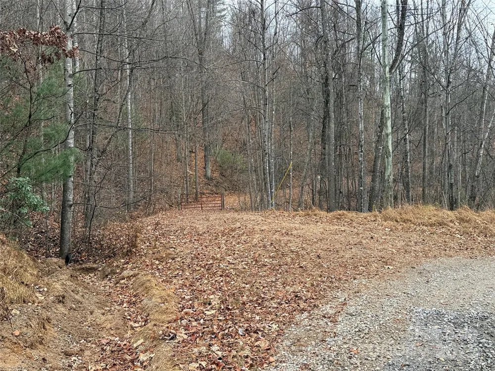 TBD Casey Mountain Road #218 Purlear, NC 28665
