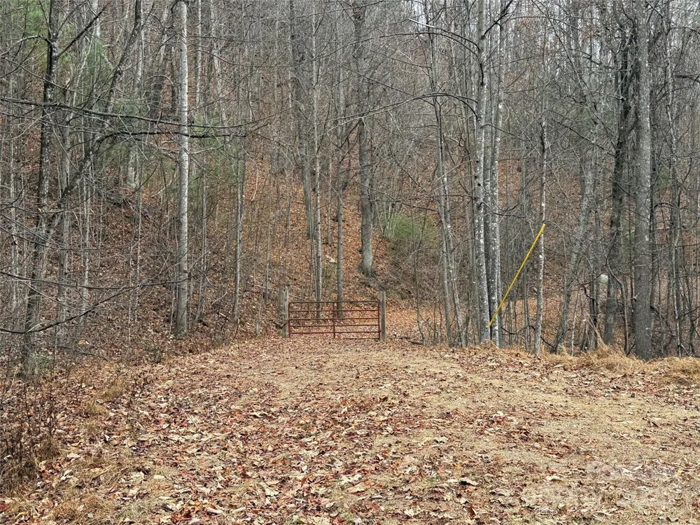 TBD Casey Mountain Road #218 Purlear, NC 28665