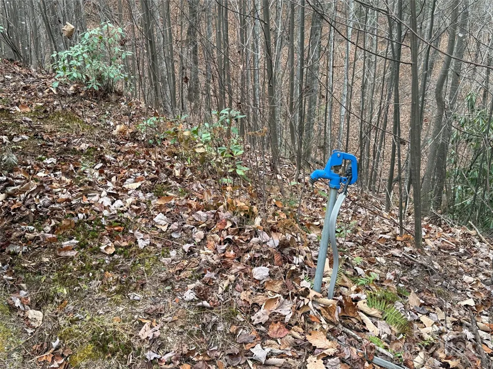 TBD Casey Mountain Road #218 Purlear, NC 28665