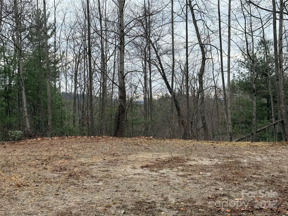 TBD Casey Mountain Road #218 Purlear, NC 28665