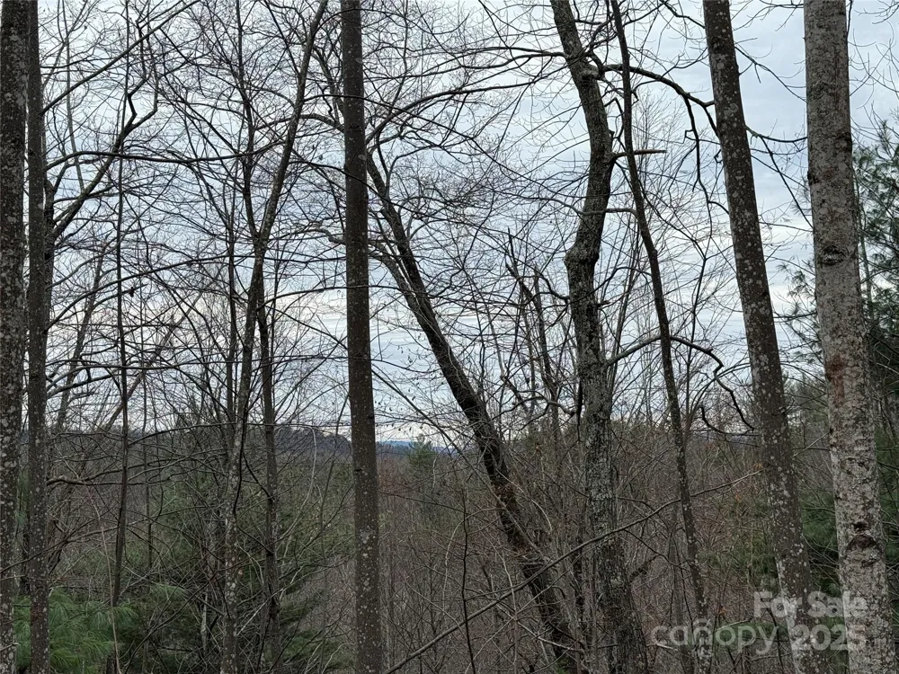 TBD Casey Mountain Road #218 Purlear, NC 28665