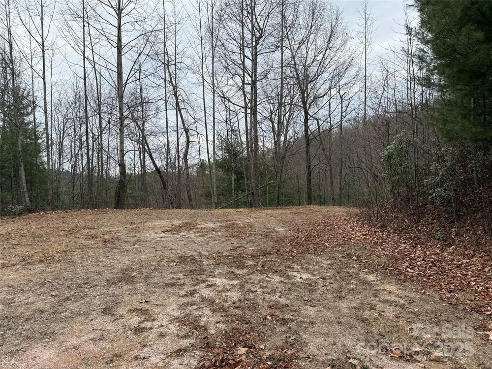 TBD Casey Mountain Road #218 Purlear, NC 28665