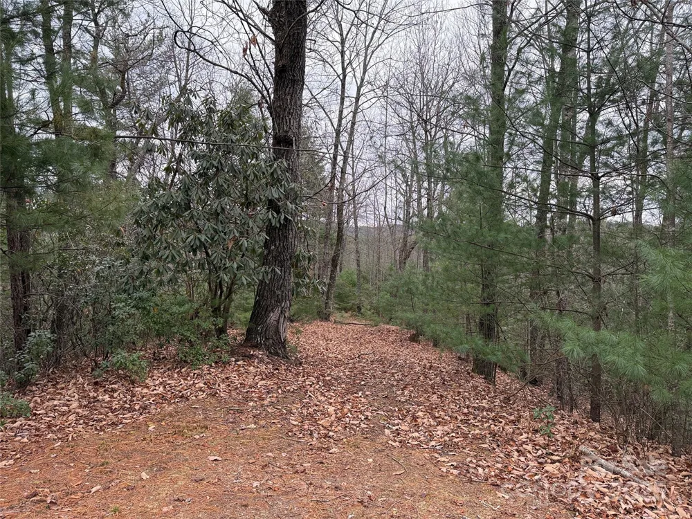TBD Casey Mountain Road #218 Purlear, NC 28665