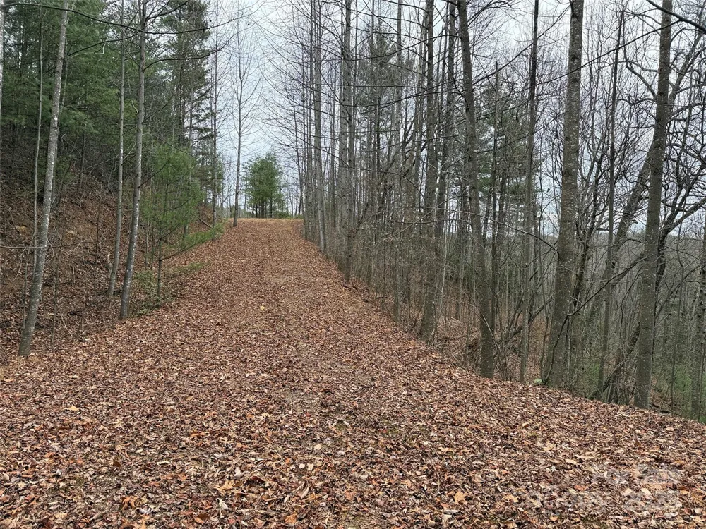 TBD Casey Mountain Road #218 Purlear, NC 28665