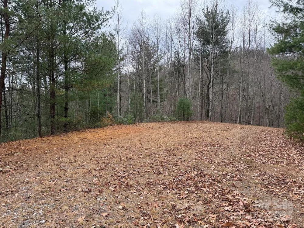 TBD Casey Mountain Road #218 Purlear, NC 28665