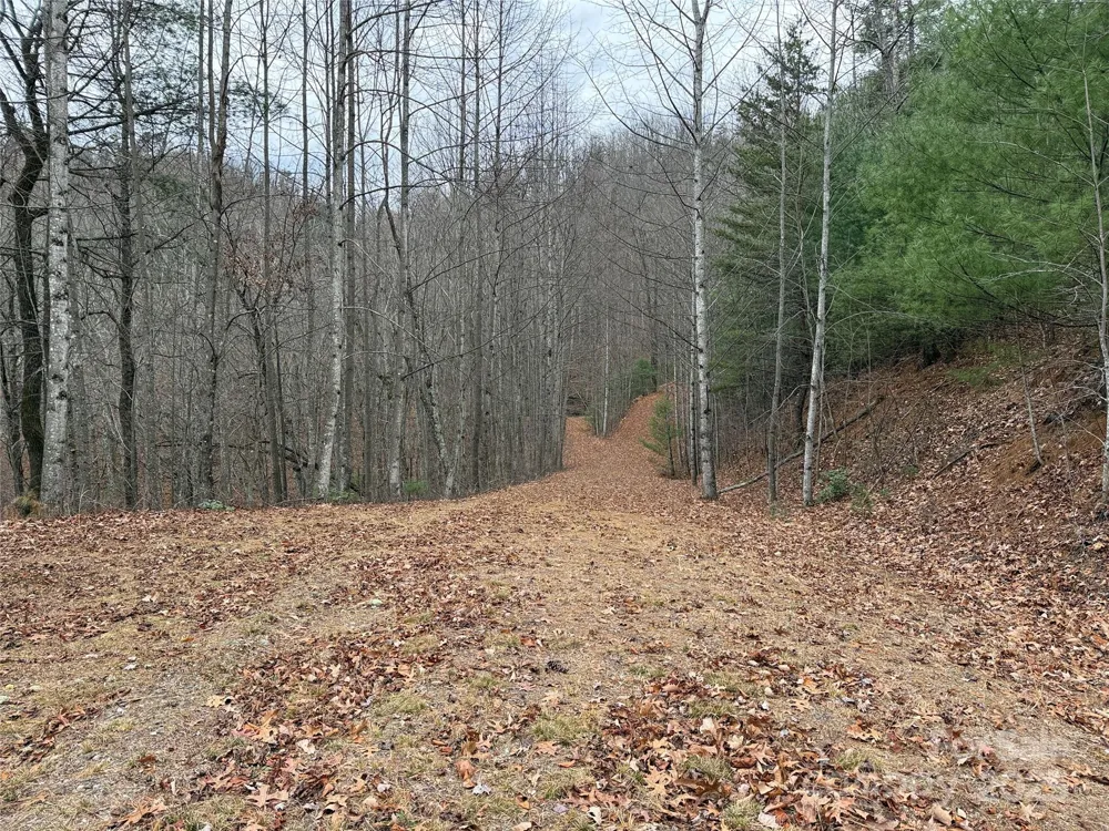 TBD Casey Mountain Road #218 Purlear, NC 28665