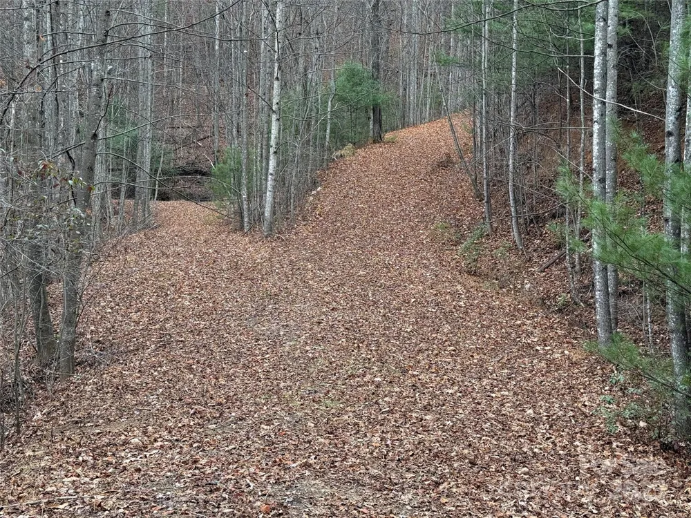 TBD Casey Mountain Road #218 Purlear, NC 28665