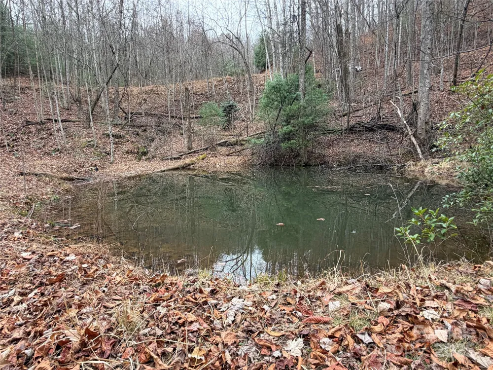 TBD Casey Mountain Road #218 Purlear, NC 28665