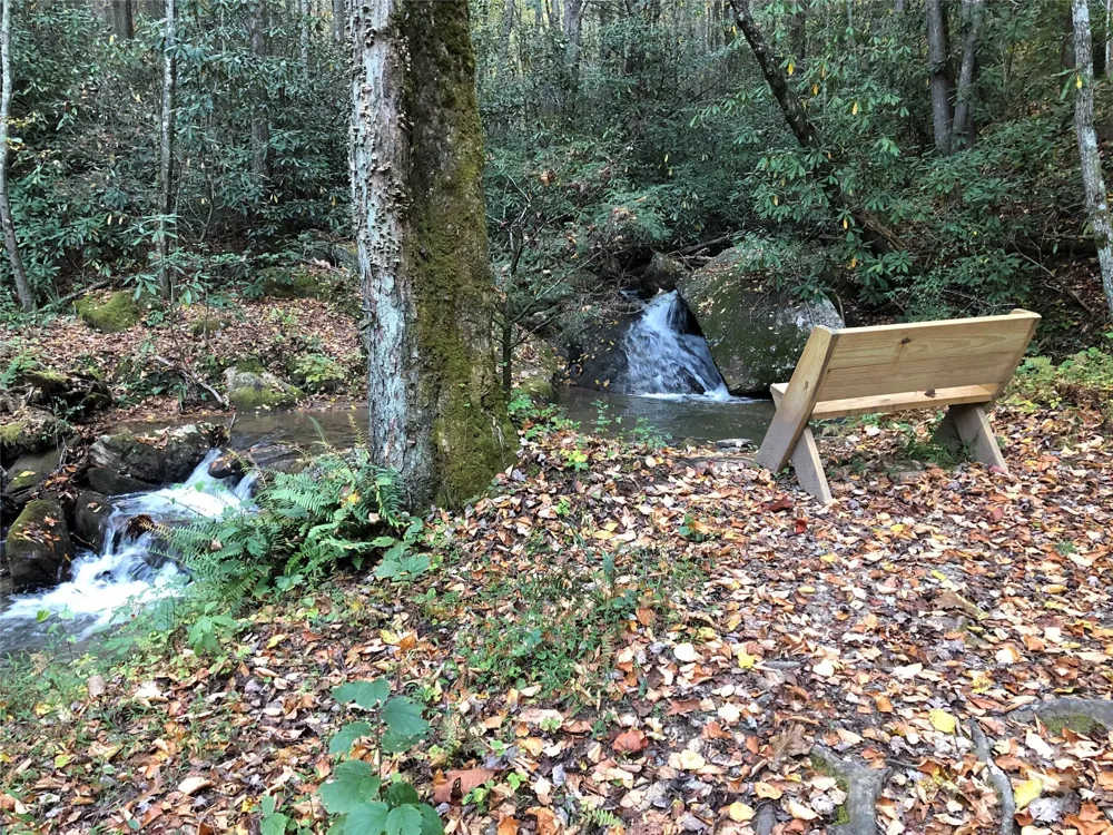 TBD Casey Mountain Road #218 Purlear, NC 28665