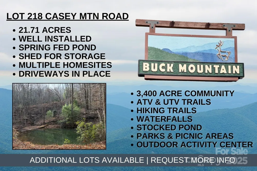 TBD Casey Mountain Road #218 Purlear, NC 28665