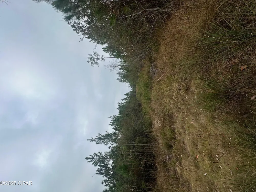 FL-71 Blountstown, FL 32424