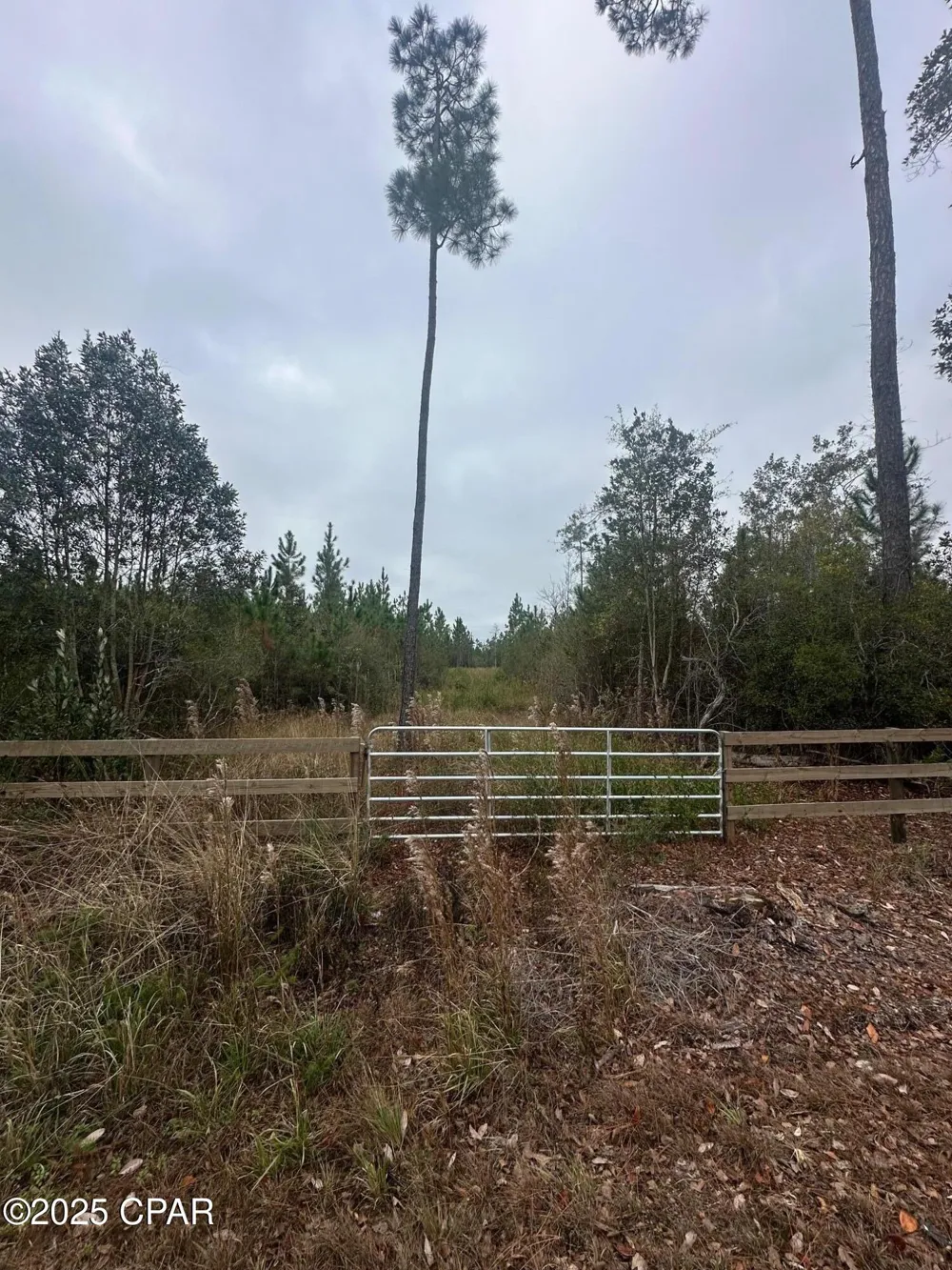 FL-71 Blountstown, FL 32424