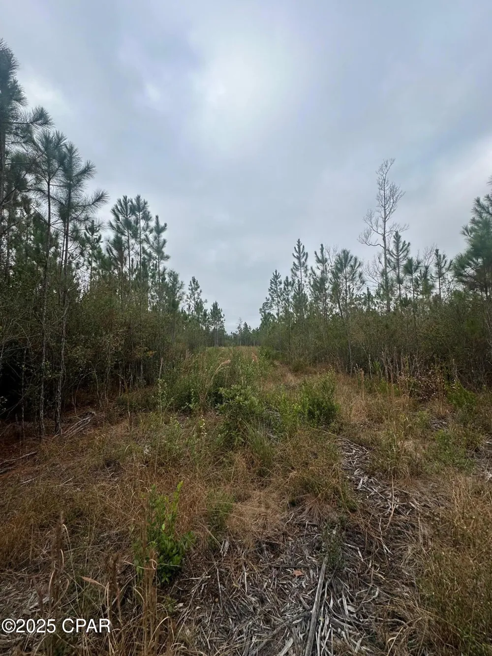 FL-71 Blountstown, FL 32424
