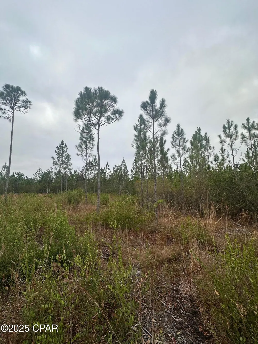 FL-71 Blountstown, FL 32424