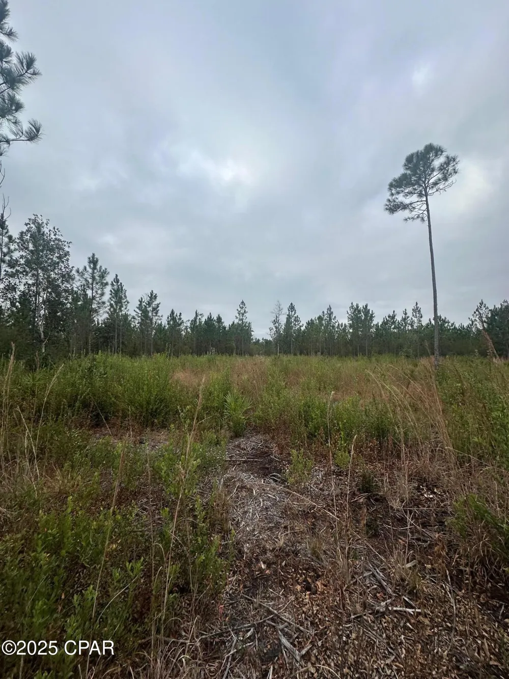 FL-71 Blountstown, FL 32424