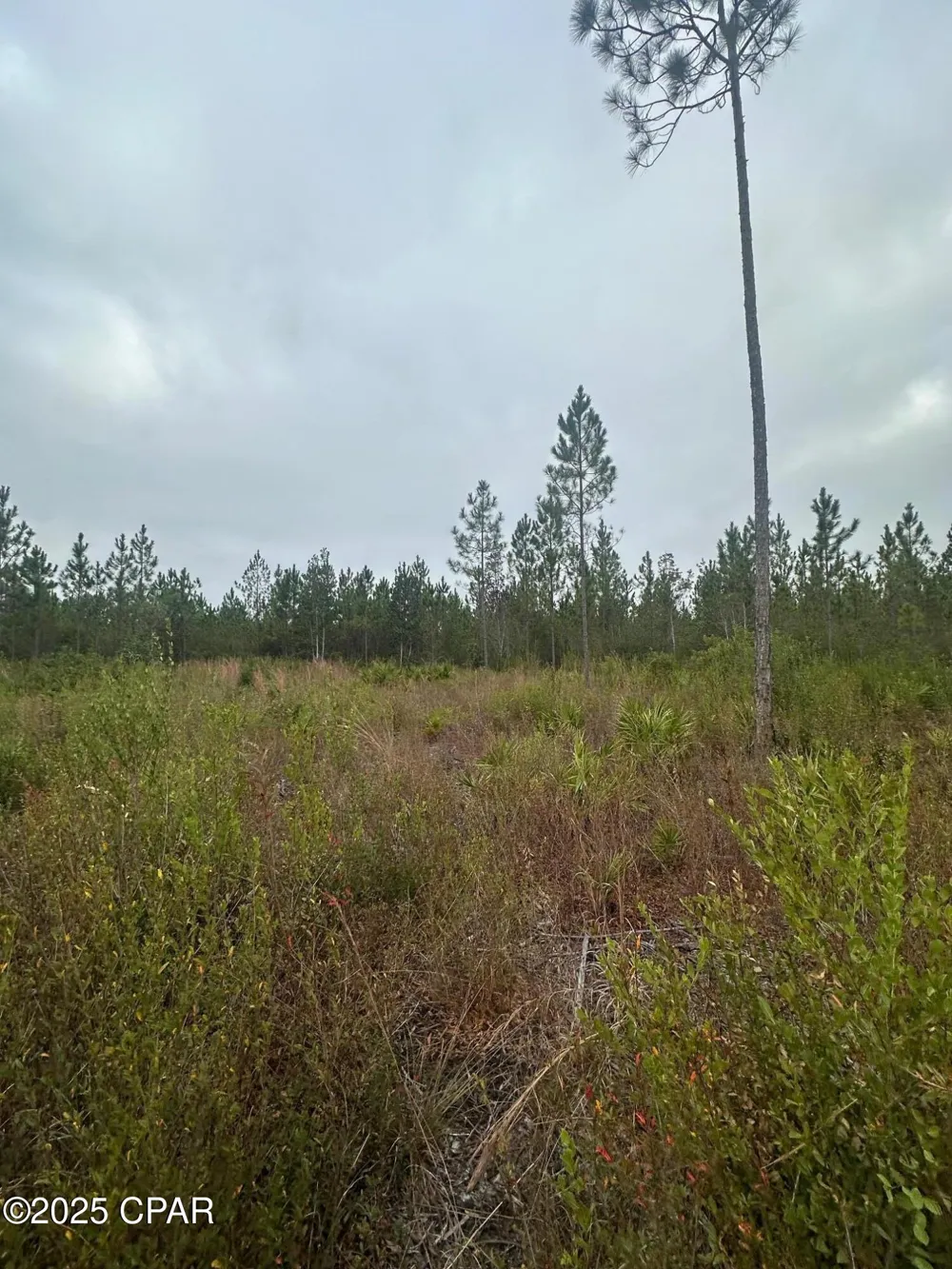 FL-71 Blountstown, FL 32424