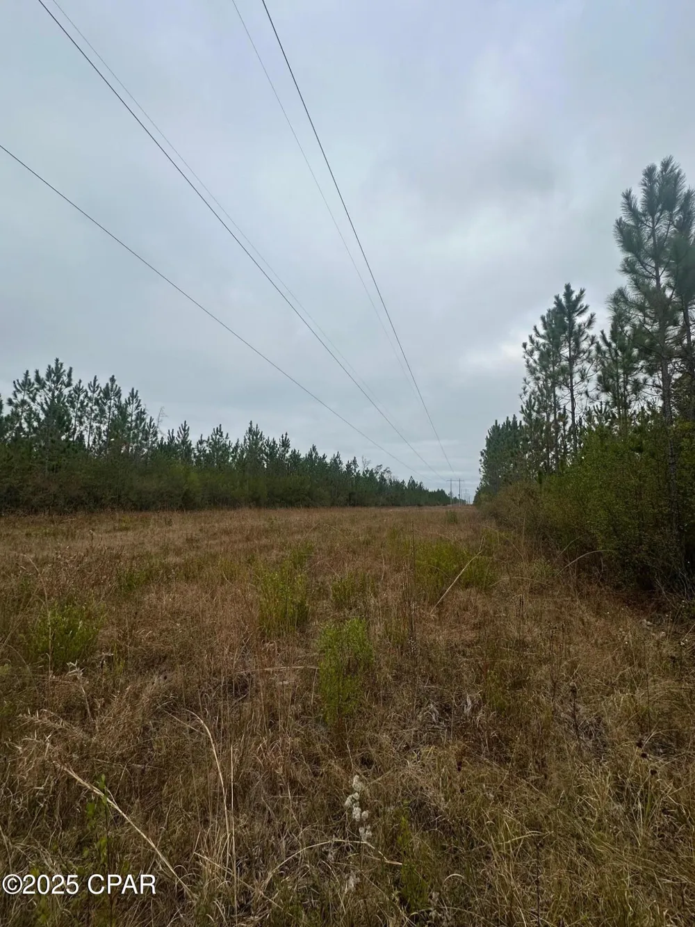 FL-71 Blountstown, FL 32424