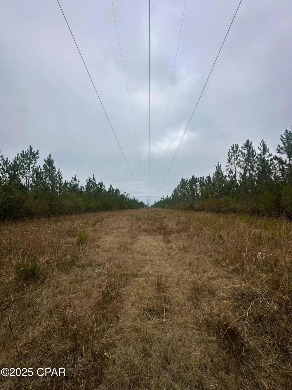 FL-71 Blountstown, FL 32424
