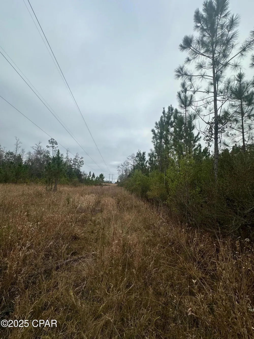 FL-71 Blountstown, FL 32424