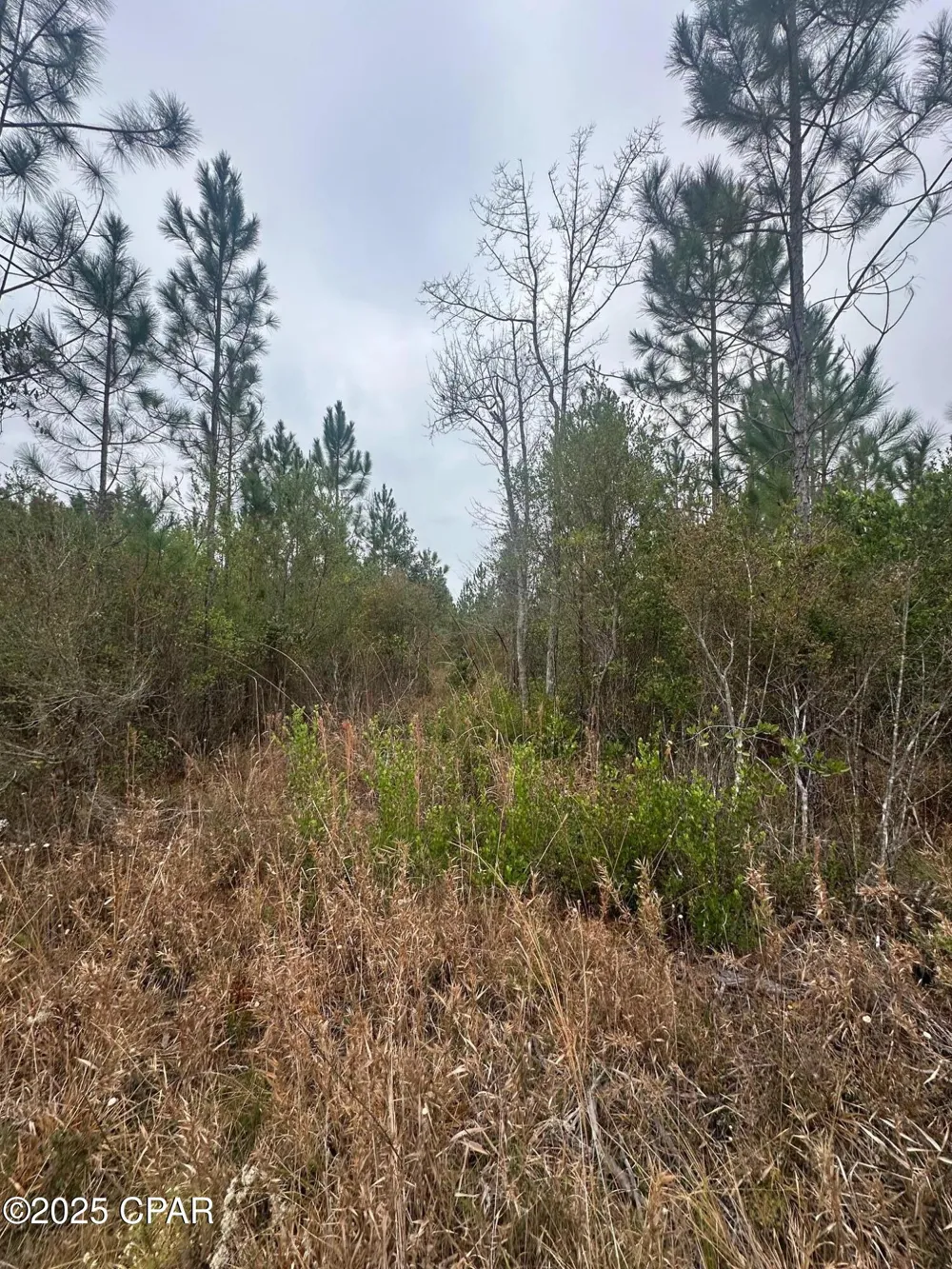 FL-71 Blountstown, FL 32424