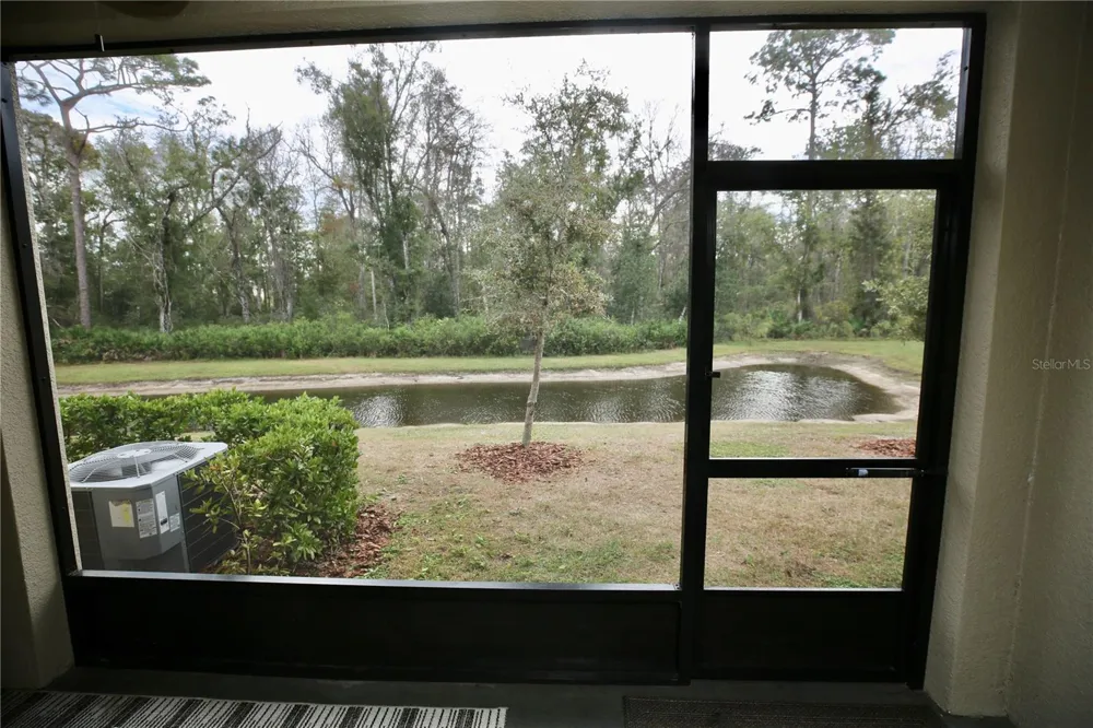 17620 NECTAR FLUME DRIVE Land O Lakes, FL 34638