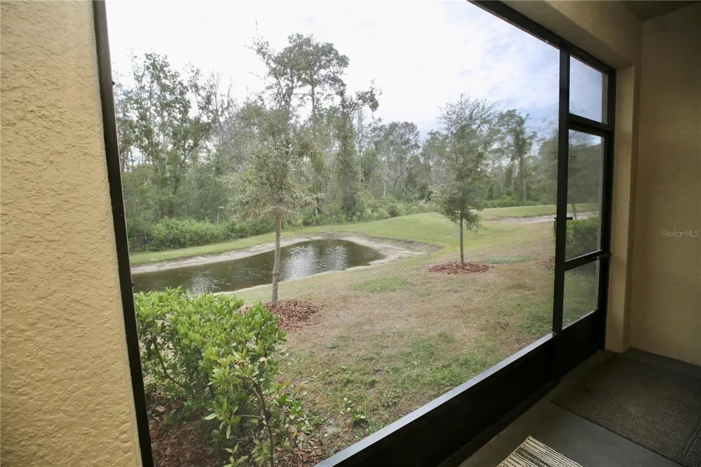 17620 NECTAR FLUME DRIVE Land O Lakes, FL 34638