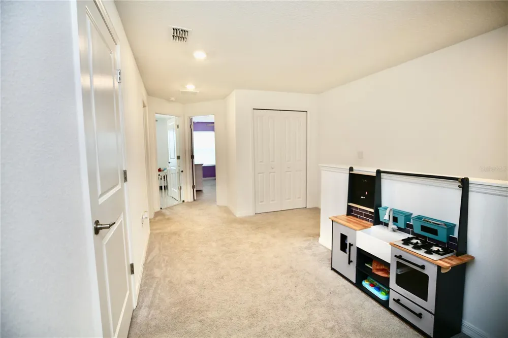 17620 NECTAR FLUME DRIVE Land O Lakes, FL 34638