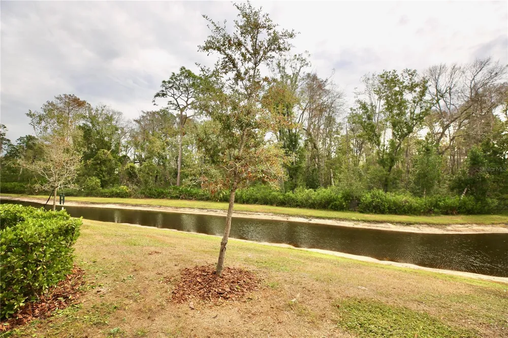 17620 NECTAR FLUME DRIVE Land O Lakes, FL 34638