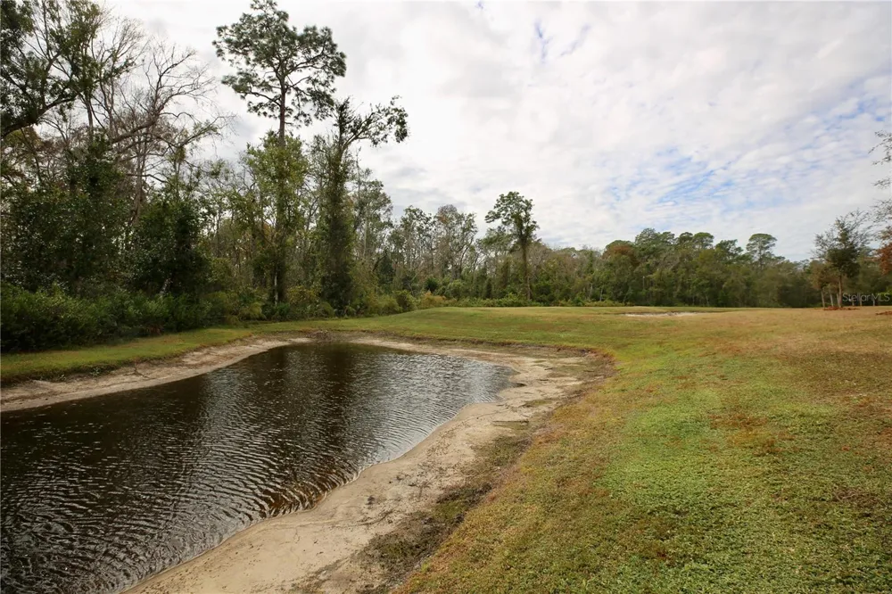 17620 NECTAR FLUME DRIVE Land O Lakes, FL 34638