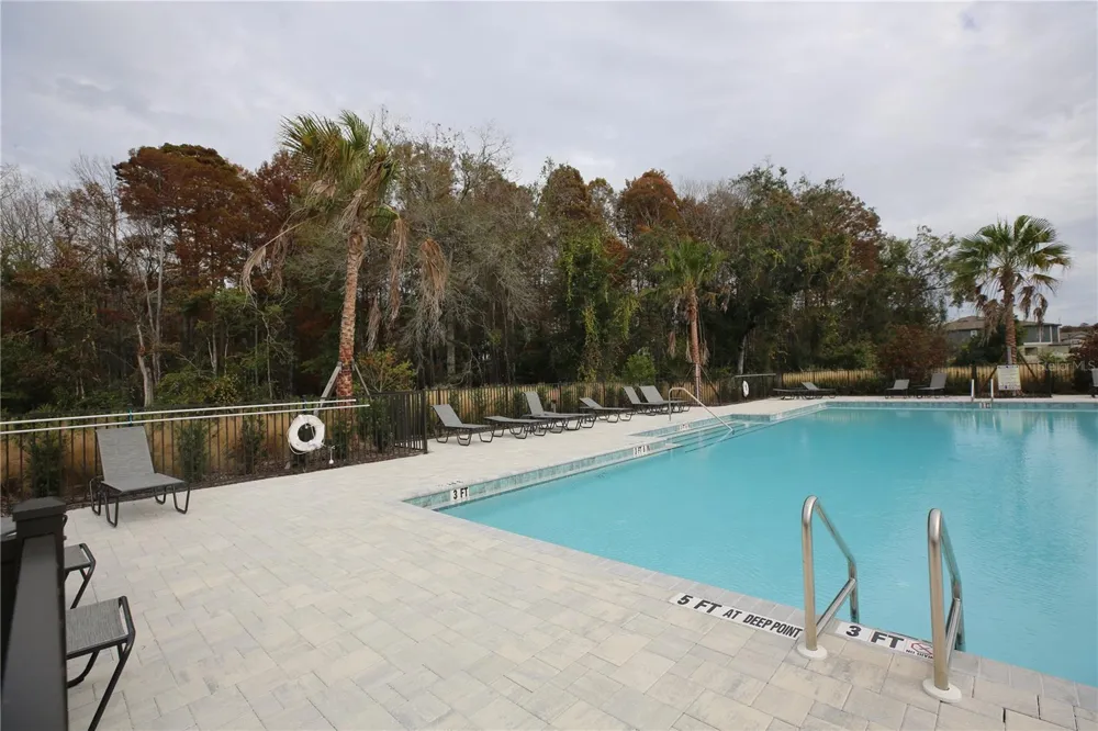 17620 NECTAR FLUME DRIVE Land O Lakes, FL 34638
