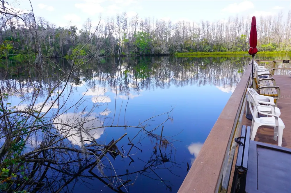 20921 HAULOVER COVE #F5 Lutz, FL 33558