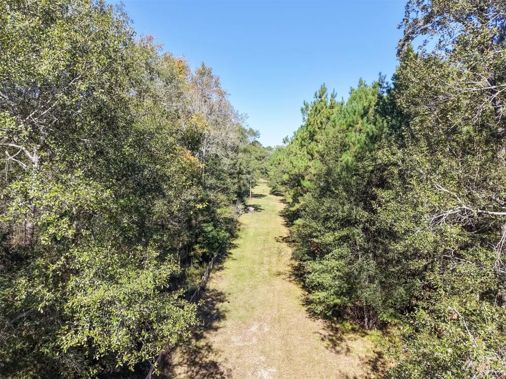 64 Gourd Creek Cemetary Road Huntsville, TX 77340