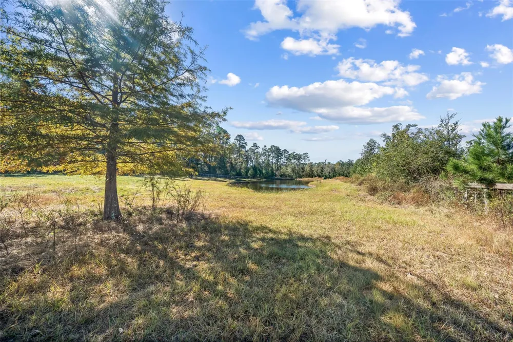 64 Gourd Creek Cemetary Road Huntsville, TX 77340